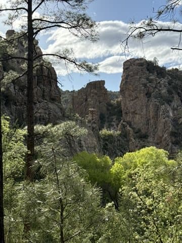 Rock canyon surrounded by trees